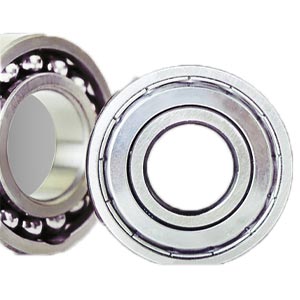 bạn đạn motor
